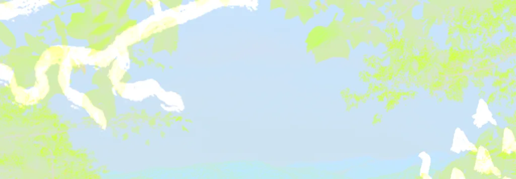 Background pattern in intro area.